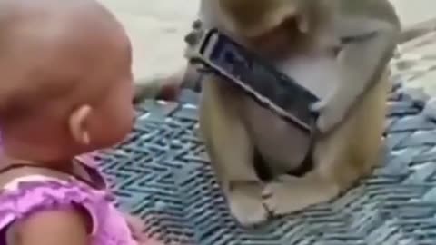 Monkey And Toddler Snatch Phones From Each Other