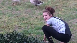 Woman taunts goose, gets dose of instant karma