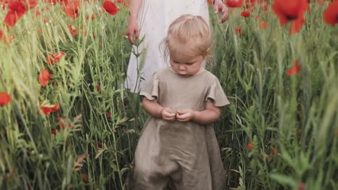 Child Girl Walking Between Red Poppy Flowers