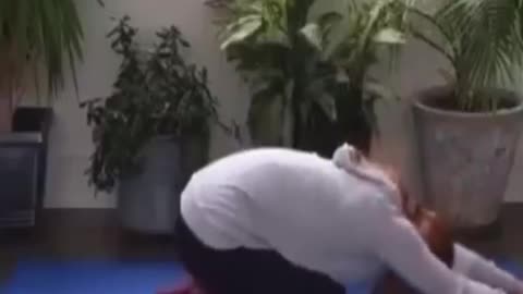 the dog practices yoga