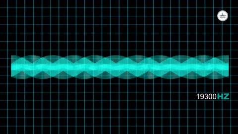 20 Hz To 20K Hz Sound Effect Human Audio Spectrum [High Quality]