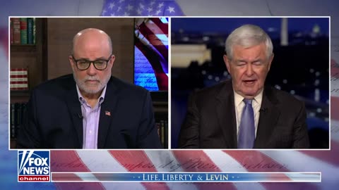 Newt Gingrich: Biden's a 'crook and a liar'
