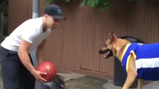 The dog that surprised the world's basketball