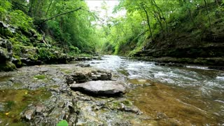 Creek Hiking - Arkansas