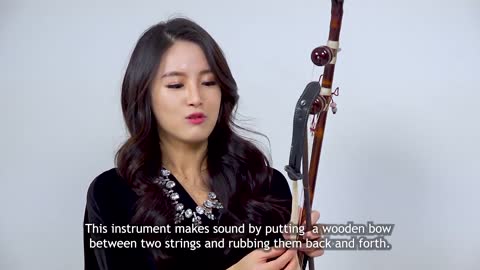 K-POP meets Korean traditional instrument Haegeum