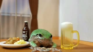 Tiny frog visits tiny pub, gets "toad-ally" wasted!