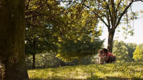 People, pets, dog sitter with alsatian dogs in park