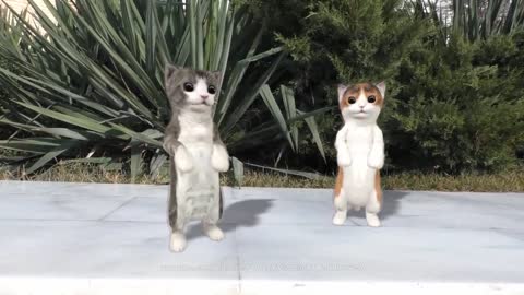 Dancing Cats | Funny Cats |