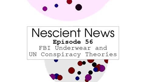 Episode 56: FBI Underwear and UN Conspiracy Theories