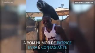 Patrice Evra faz amizade com uma foca