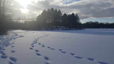 Walking on Frozen Dangerous Lake