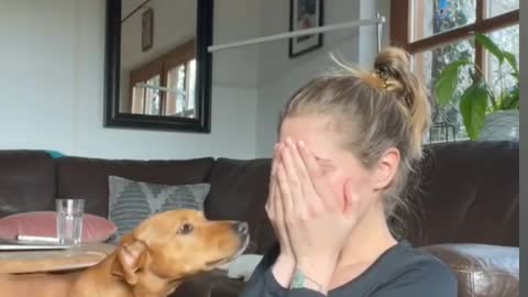 My dog reaction when i was crying