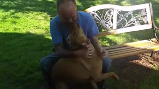 Dog Did not remember the owner until the Dog sniff Him.