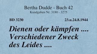 BD 3230 - DIENEN ODER KÄMPFEN .... VERSCHIEDENER ZWECK DES LEIDES ....