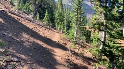 Eastern Oregon – Strawberry Lake + Wilderness – Alpine Forest Highland Backcountry Campsite