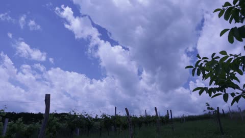 Time Lapse- Clouds