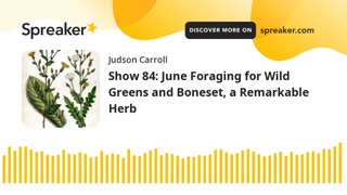 Show 84: June Foraging for Wild Greens and Boneset, a Remarkable Herb