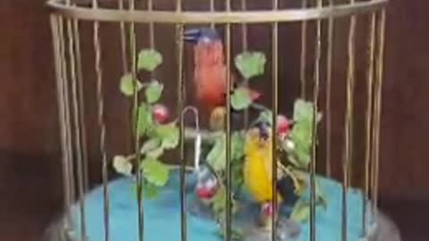 German Automaton Singing Birds in Brass Cage