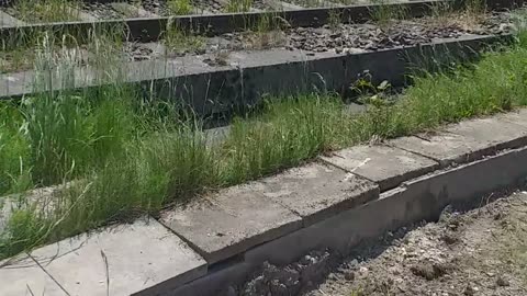 31.05.2023 Bahnübergang in Garmisch-Partenkirchen - feine Unterschiede...