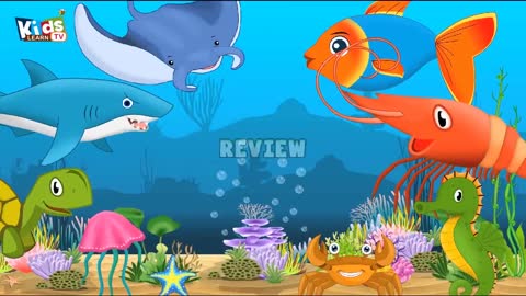 Sea Animals - Kids Learn Tv