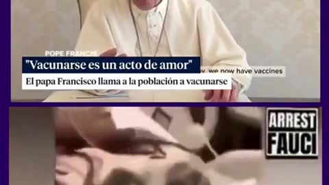PAPA francisco FALSO PROFETA vacunarse es un acto de amor