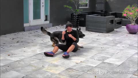 Funny dog traning video