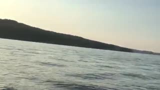 Guy slips diving off boat lands side