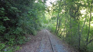 Exploring The Obstacles That Fall On Railroad Tracks