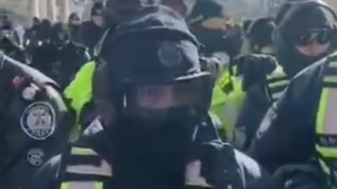 Police face protestors