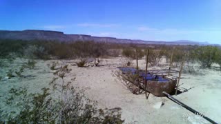 Coyotes on East Rim Ranch