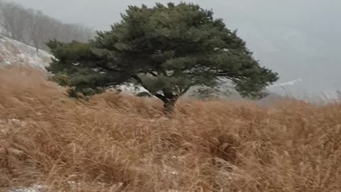 South korea jeongseon mindung mountain landscape