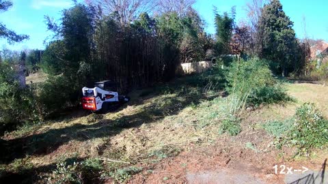 Forestry Mulching Bamboo Patch with Bobcat T770 (and nearly blowing it up!)