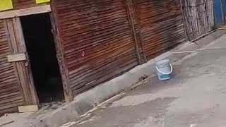 Videos de la emergencia tras el incendio en Bucaramanga