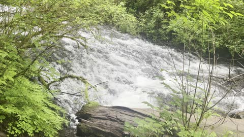 Upper Latourell Falls Downstream Flow – Columbia River Gorge National Scenic Area – Oregon – 4K