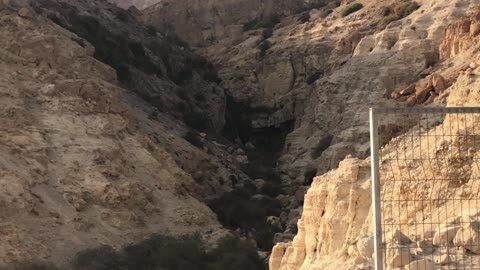 Day 6, 09: Ein Gedi