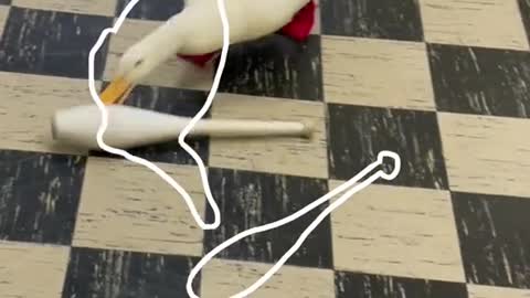 satisfying#duck#outline#trend