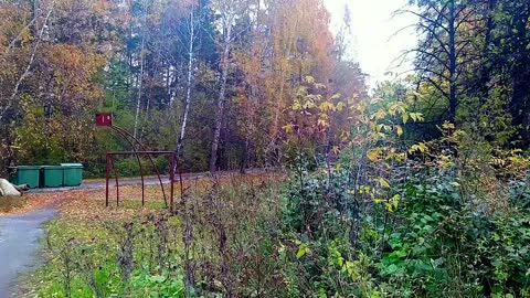 Siberian autumn