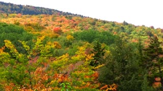 Views of Autumn