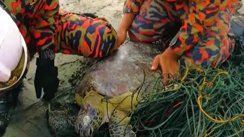 WATCH : Turtle Wrapped In A Fishing Net 😥.