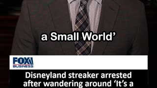 Disneyland Streaker Arrested after ‘It’s a Small World’ Adventure