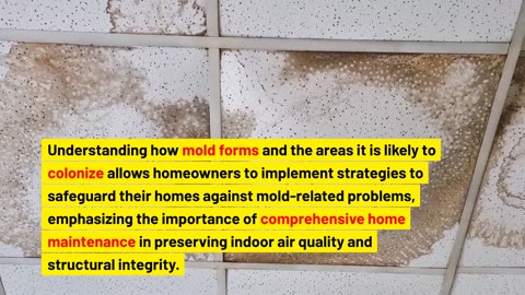 What Causes Mold in a House?