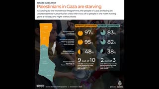 ‘People are starving’: WFP says humanitarian operation in Gaza ‘collapsing’