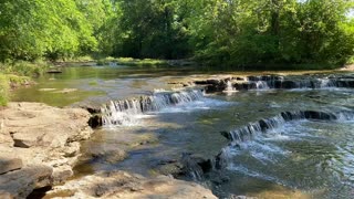 The Beautiful and Strange Encounters of the Line Creek Trail