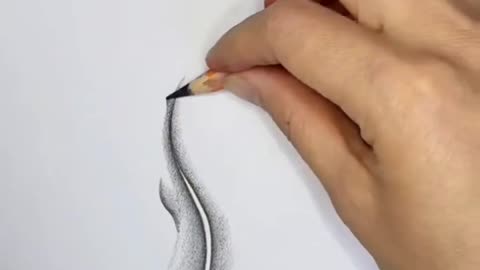 Pencil drawing art