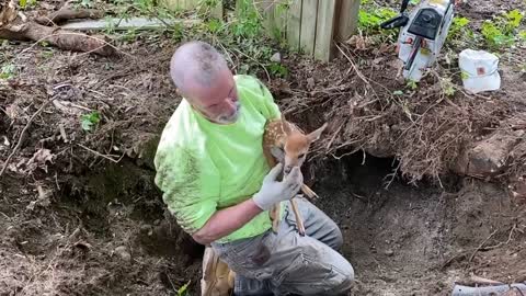 First responders in New Jersey help save a fawn that somehow got stuck in a hole