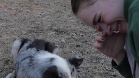 Cute and Shy Dog Playing With His Owner *MUST SEE*