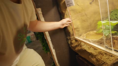 What possesses a man to build a Reptile Zoo in his house_1080p