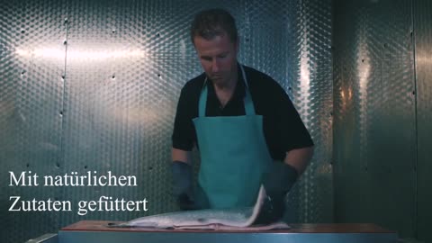 Irish Organic Salmon Video 20 second