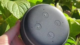 Amazon Echo Dot (3rd Generation)