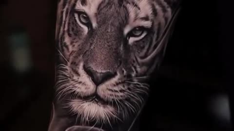 BEAUTIFUL Tiger tattoo done by Jose Contreras in TEXAS!